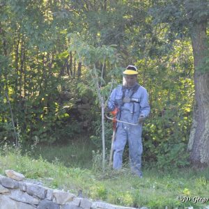 Divaška jama delovna akcija jesen 2015