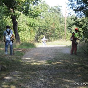 Divaška jama delovna akcija jesen 2015